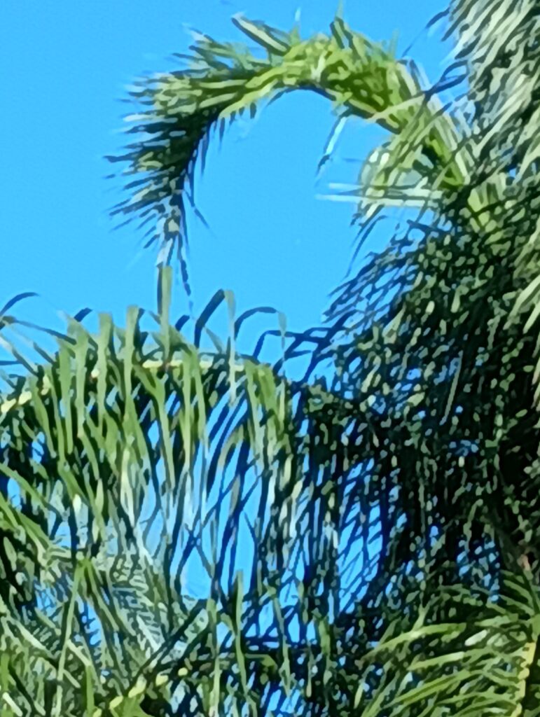 Unaided eye perspective of unidentified object, UAP, UFo, etc. Probably a balloon.