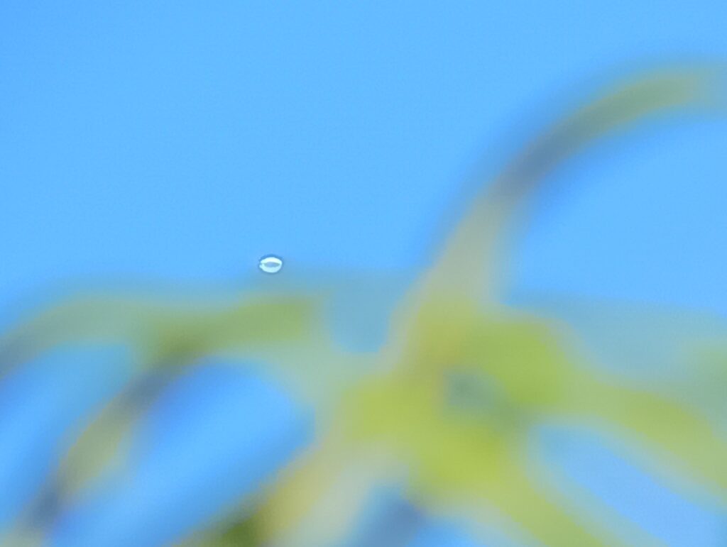 Zoomed image of unidentified object, UAP, UFo, etc. Probably a balloon.