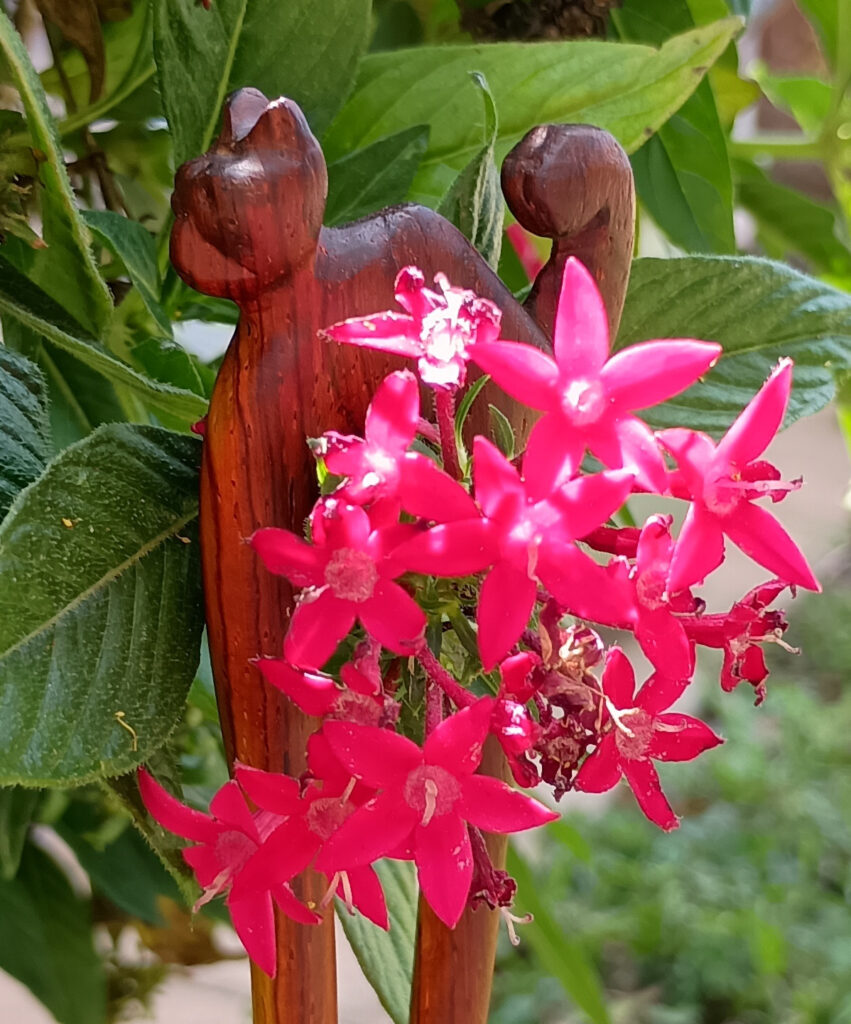 cocobolo wood cat hairpin, profile view