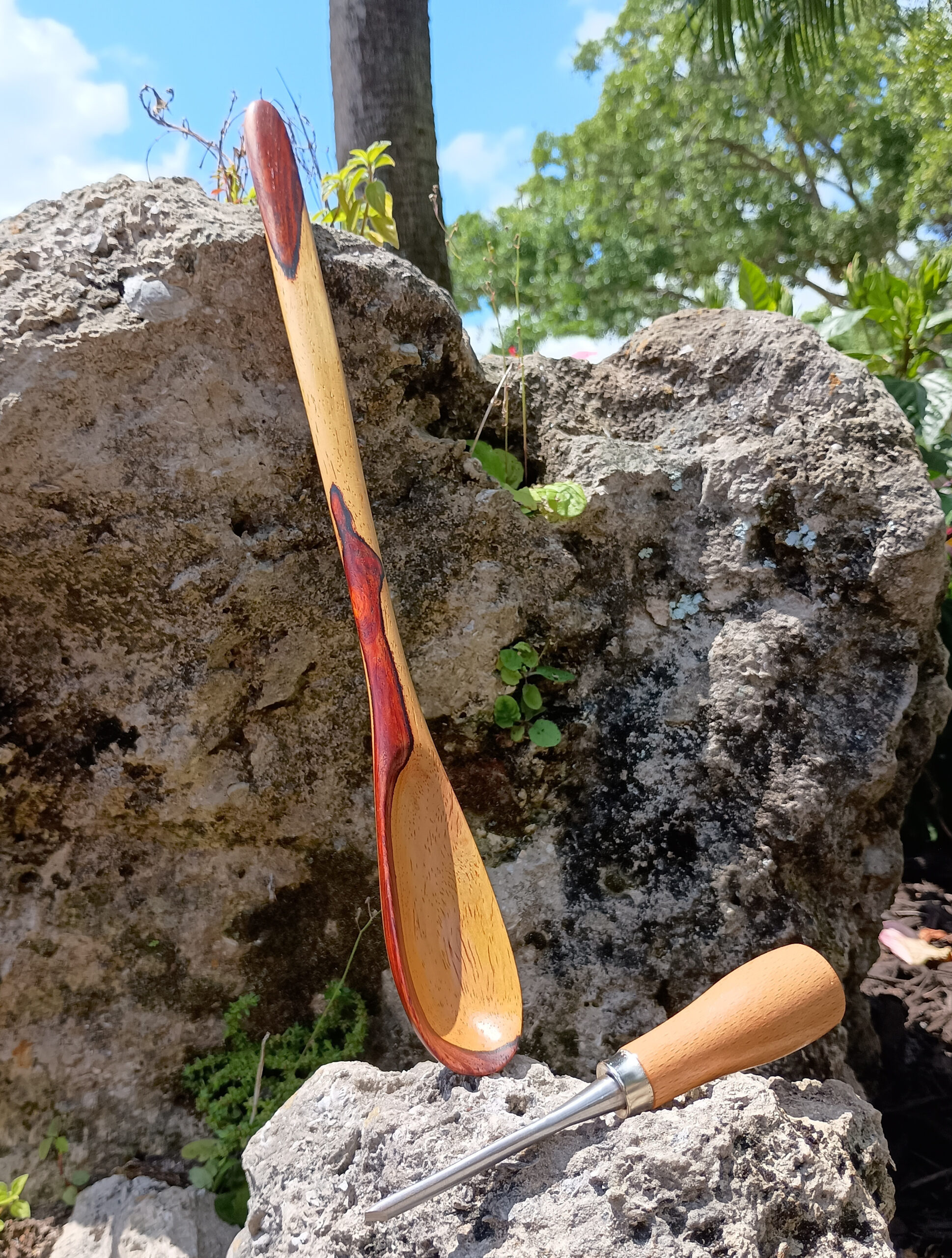Mostly sapwood spoon made of cocobolo. 14-1/2Len x 1-3/4Wid inches. Angle-2 Date Made: 04-10-2025