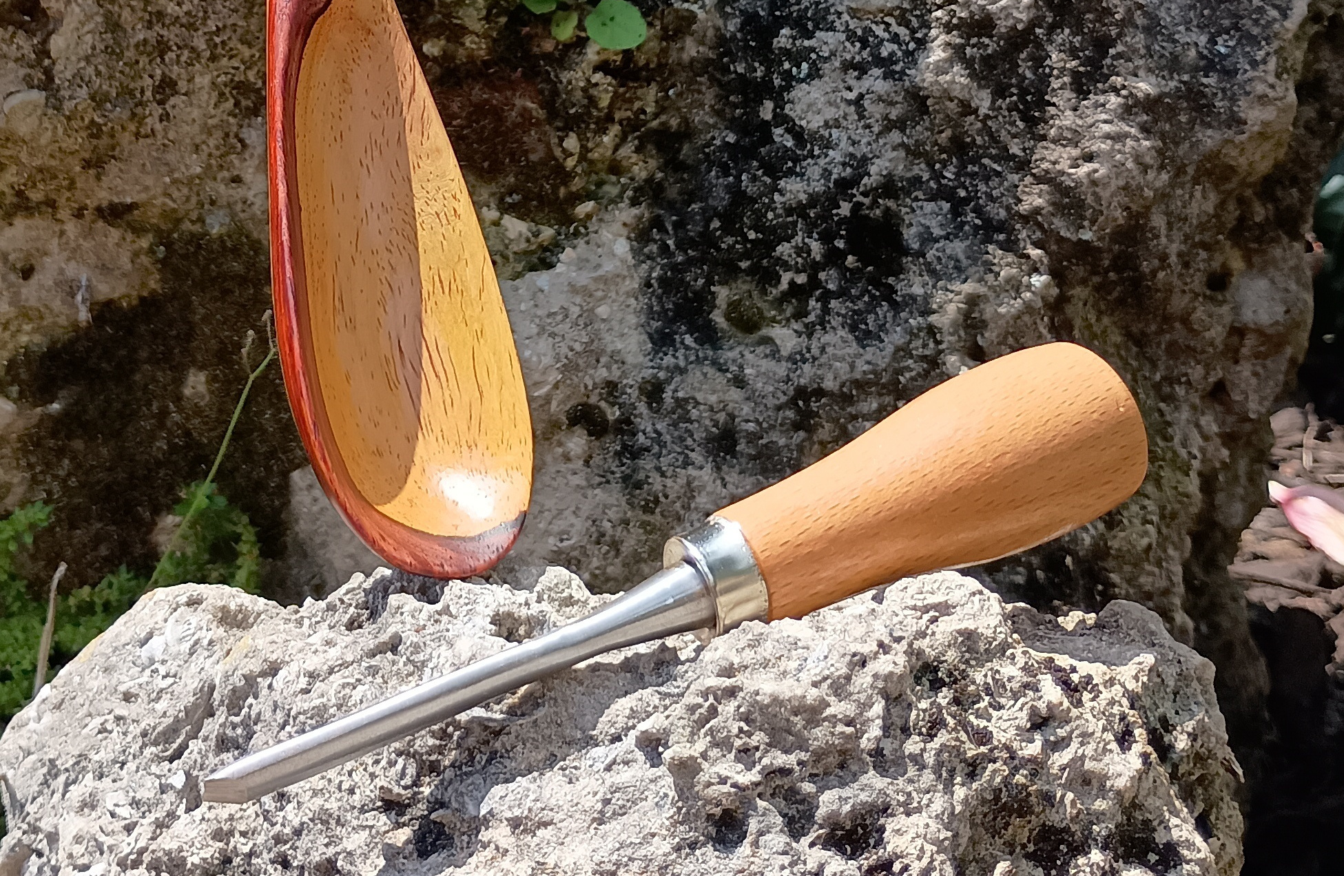 Sapwood Cocobolo Spoon & carving tool