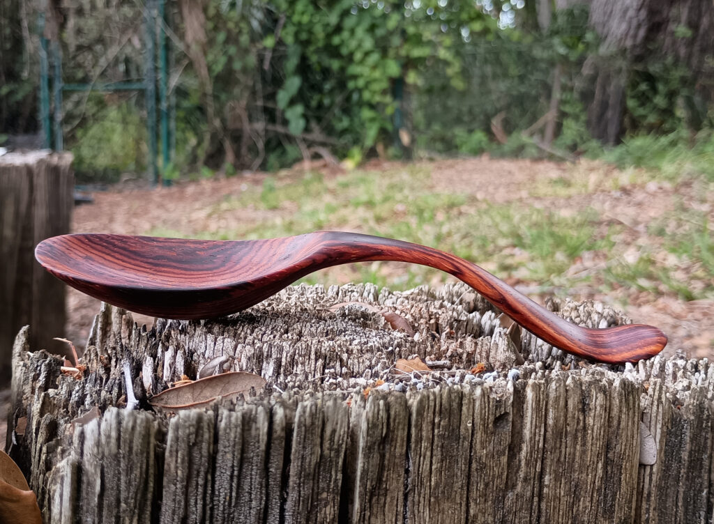 Bent spoon/scoop made of cocobolo wood - 05-10-2025 - side-view