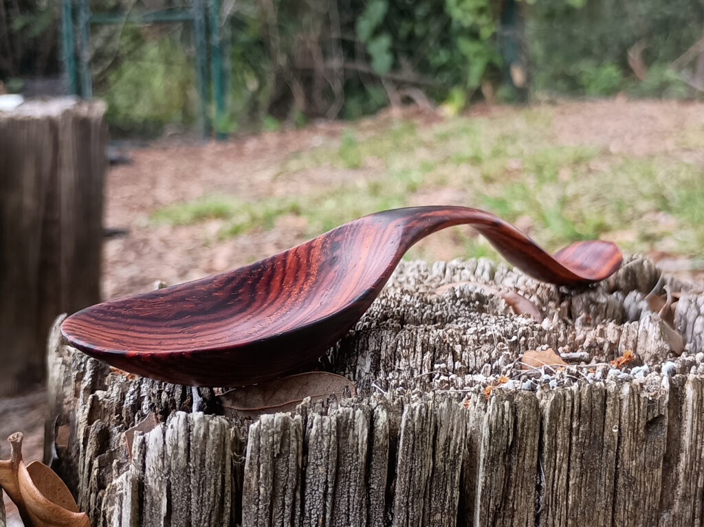 Bent spoon/scoop made of cocobolo wood - 05-10-2025 - front-view